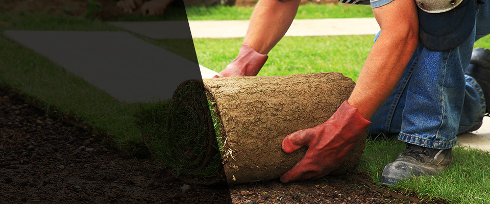 Delavan Landscapers